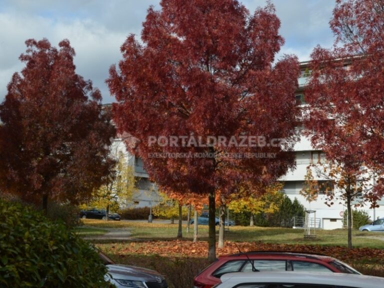 fc0656be47d760bc4355acde8a21f95e